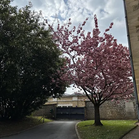 L'ecrin Des Remparts